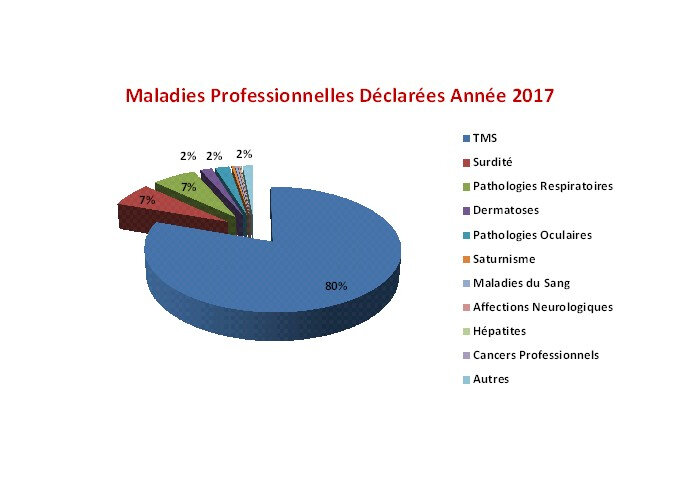 Maladies Professionnelles 2017