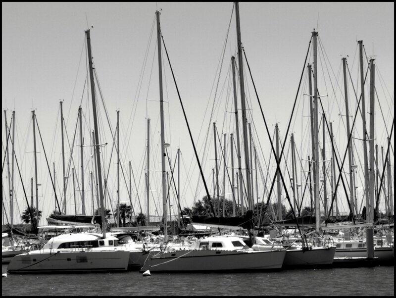P1460238