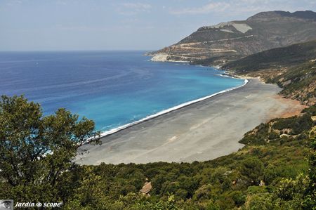 Plage-Nonza