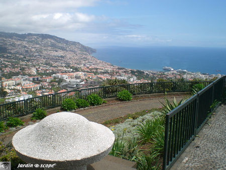 8837_Funchal_de_Pico_dos_Barcelos