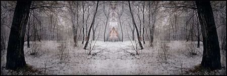 red_on_white_snow_daaram