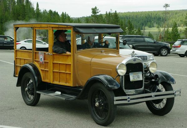 Woodie Yellowstone 8