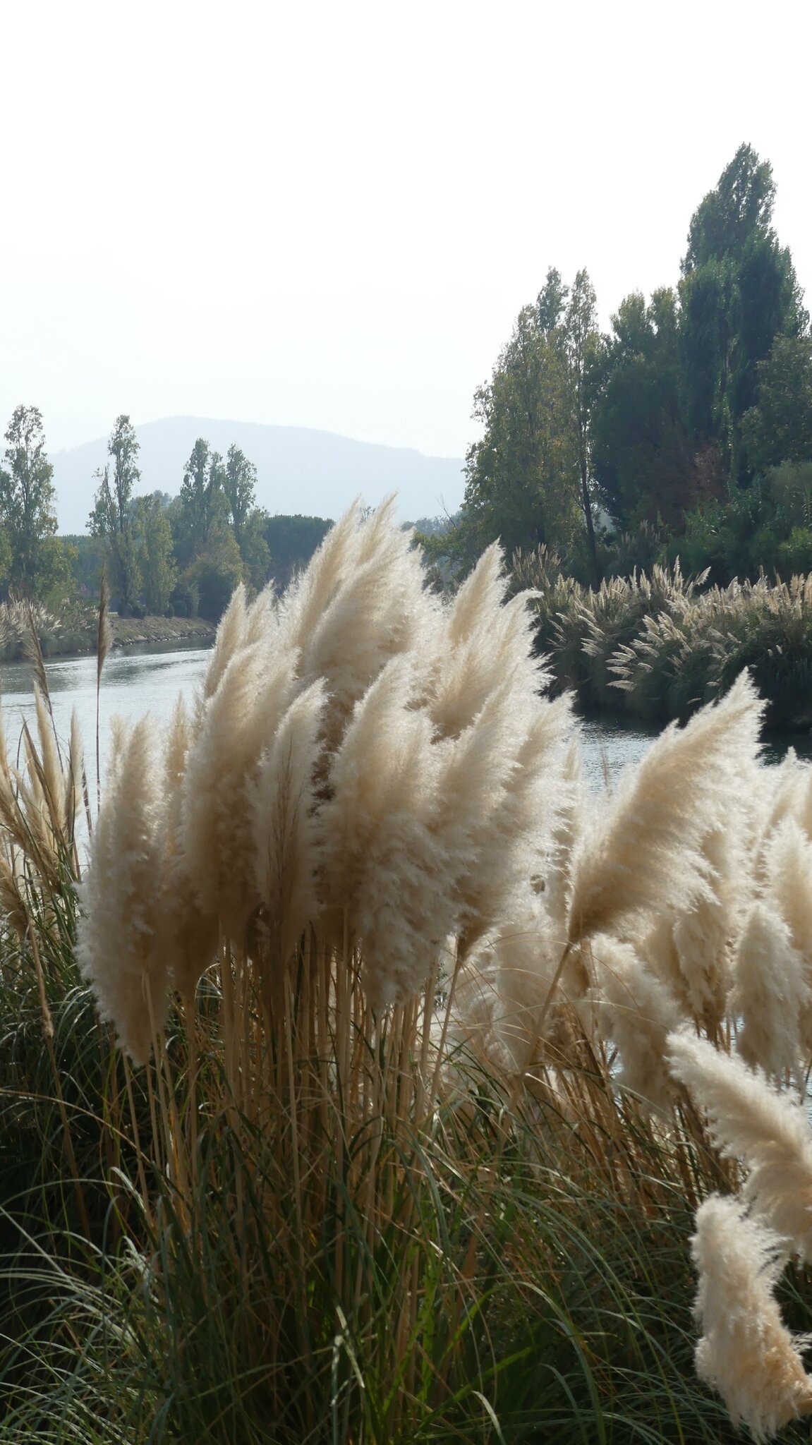 P1070288