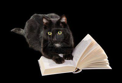 9344334-chat-noir-lire-un-livre-gisant-sur-fond-noir