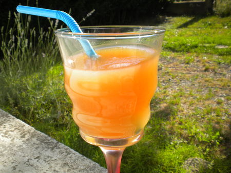 Photo_077
