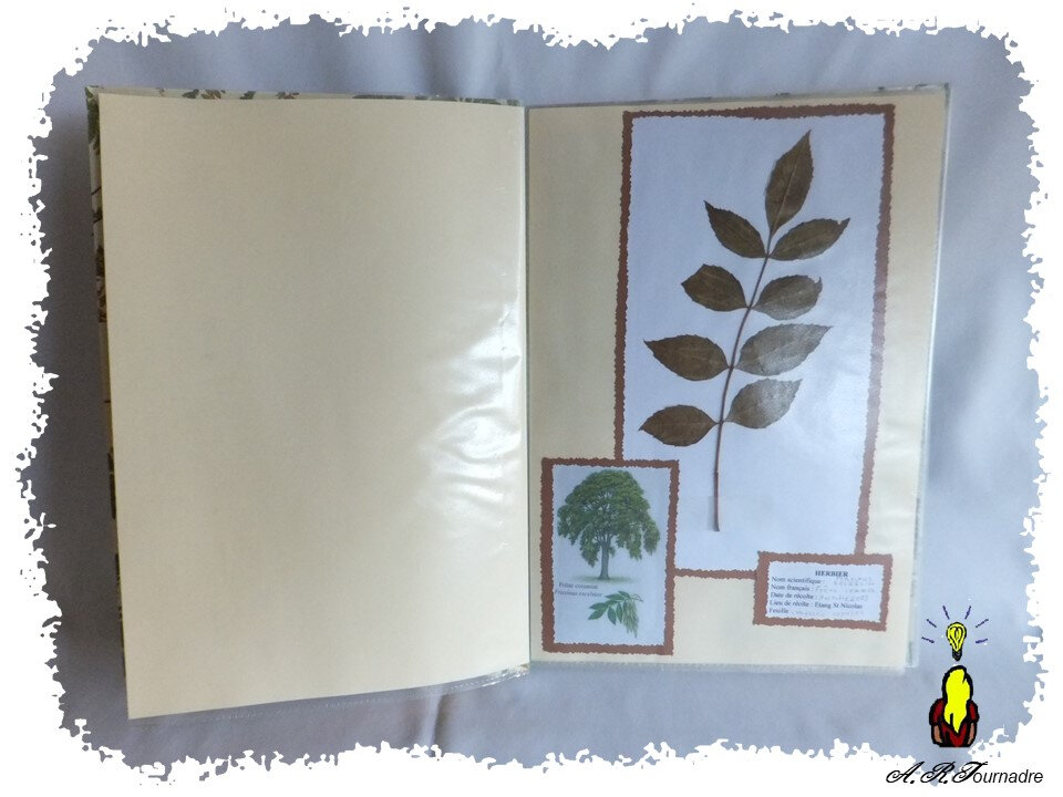 ART 2006 06 herbier3