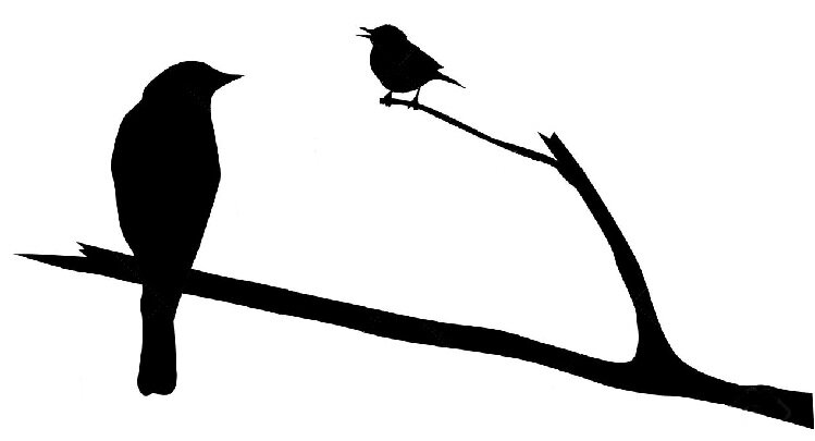 silhouette-de-l-oiseau-sur-la-branche