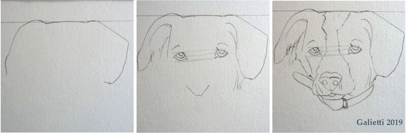 dessiner la tête d'un chien