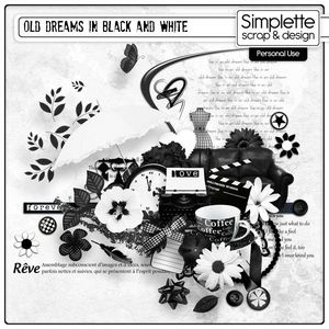 BLACK AND WHITE SIMPLETTE