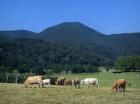 paysages-de-haute-garonne-01