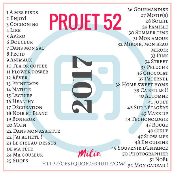 projet_52_2017