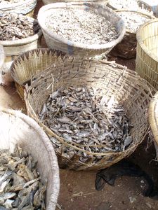 poissons secs Marché du Port MOPTI Mali