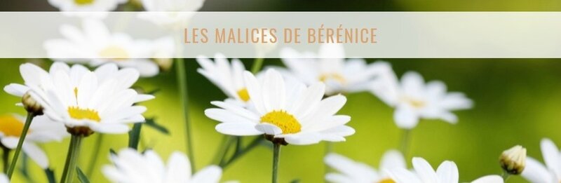 Blog Bérénice