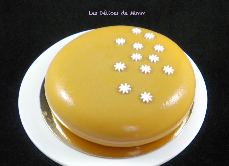 Mon entremet pommes, caramel et chocolat Dulcey 2