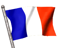 drapeau français animé