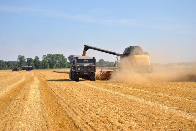 baromesnil moisson ledoux 16-07-2019 001 (111)