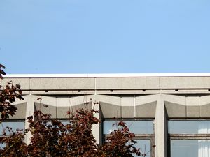 Scheutbos_Toverfluit_zoom