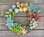 Succulent_wreath_prudentbaby_thumb