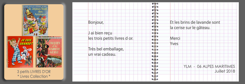 2018-07-LIVRE-D'OR-muluBrok