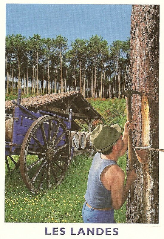Les Landes