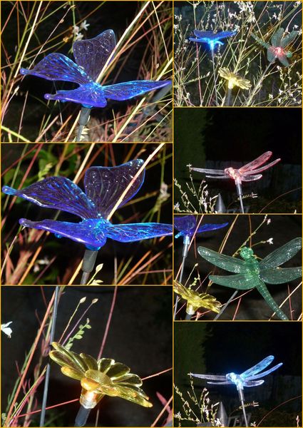lumières nocturnes