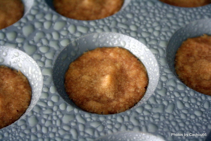 Les petits fours frais 09-05-09 (18)