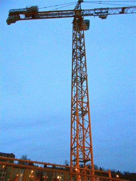 grue 18 janvier 2013 (7)