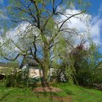 2013-05-0512