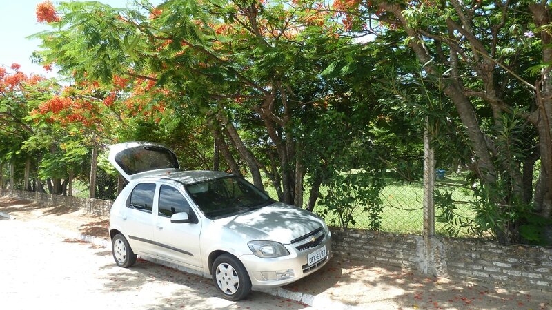 voiture de loc à Tibau do sul