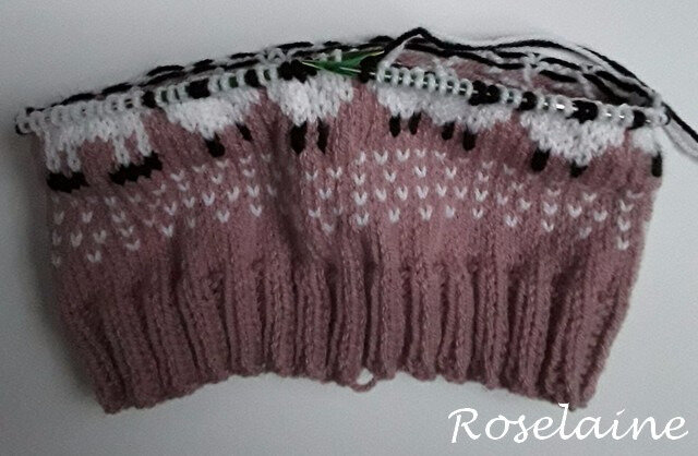 Roselaine tricot snood lama 2