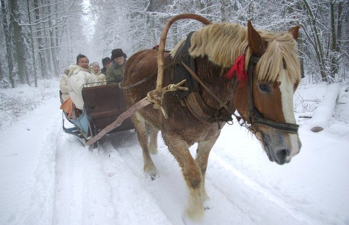 Pologne-neige-traineau-cheval-0355