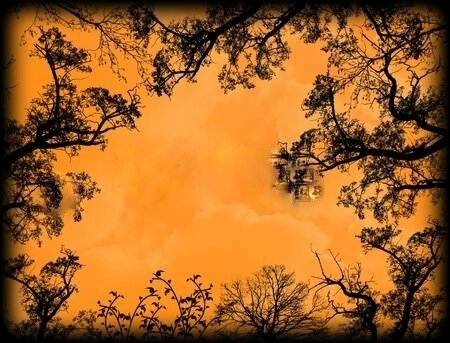 coucher-de-soleil2