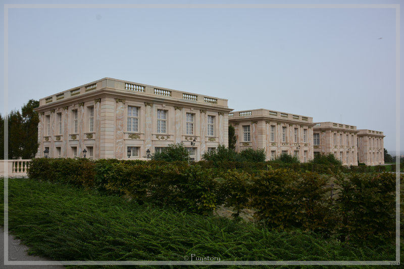 PUY_8264