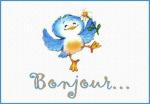 bonjour oiseau