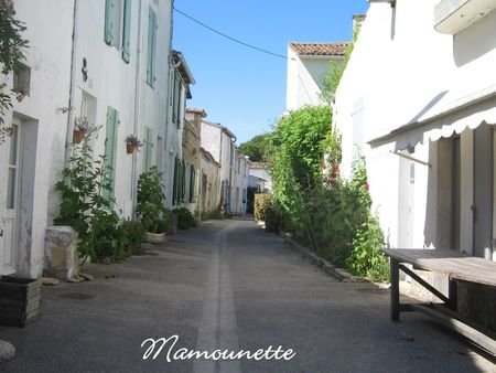 Ile_de_R__jeudi_11_juin_2009_017