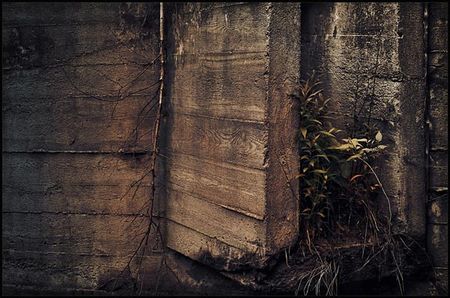 Natural_wall_Daaram_2009