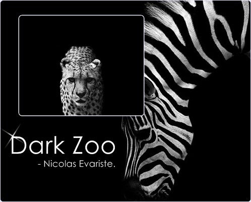 intro_Dark Zoo By Nicolas Evariste