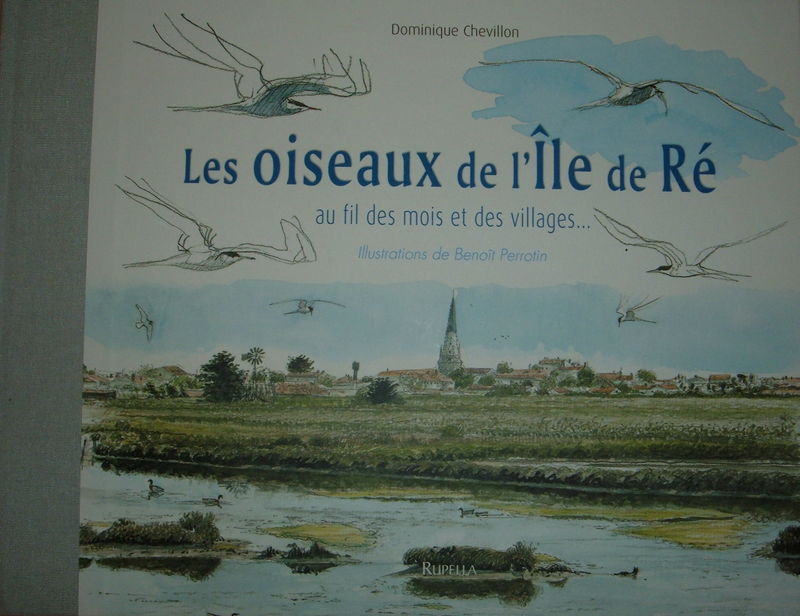 Les oiseaux de l'île de Ré