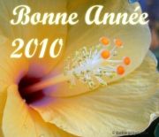 bonne_ann_e