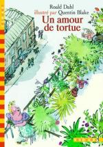 Un amour de tortue couv