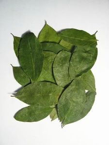 coca-feuilles-sechees