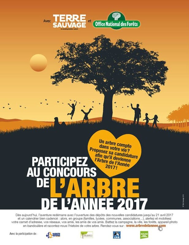 Arbre de l'Année 2017