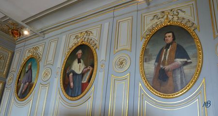 Musée des Beaux Arts Limoges (18)