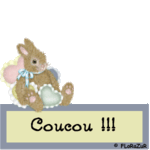 coucou_lapin