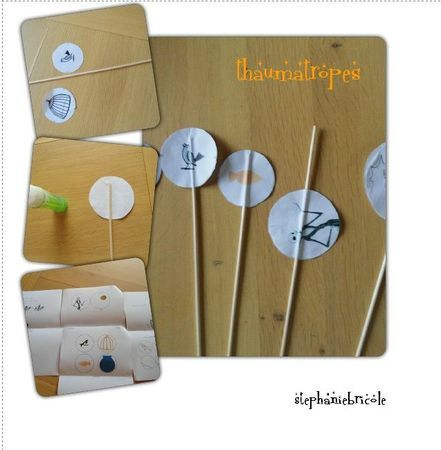 thaumatrope  - juin 2011