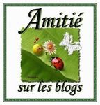 amiti__blogs