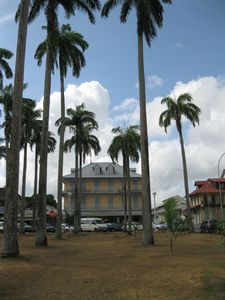 La place des palmistes