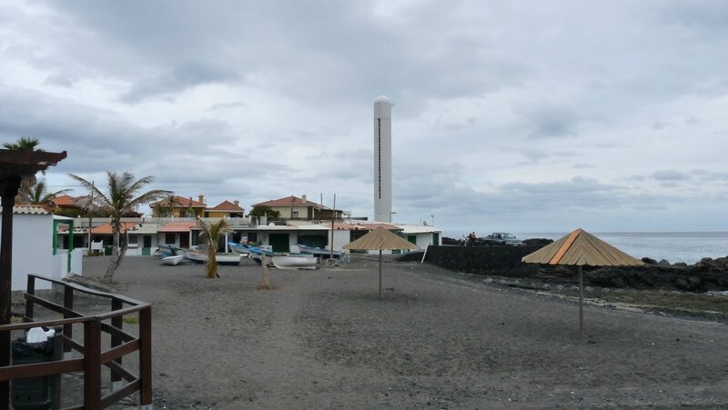 canaries16