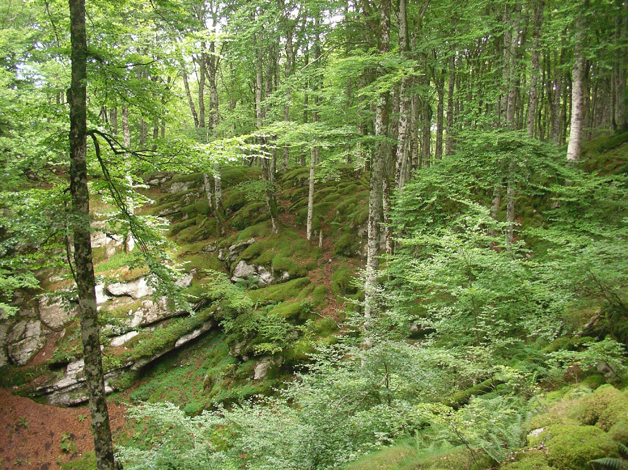 Urkulu-aout15-051