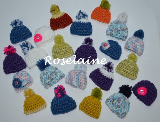 Roselaine Petits bonnets 2020 14